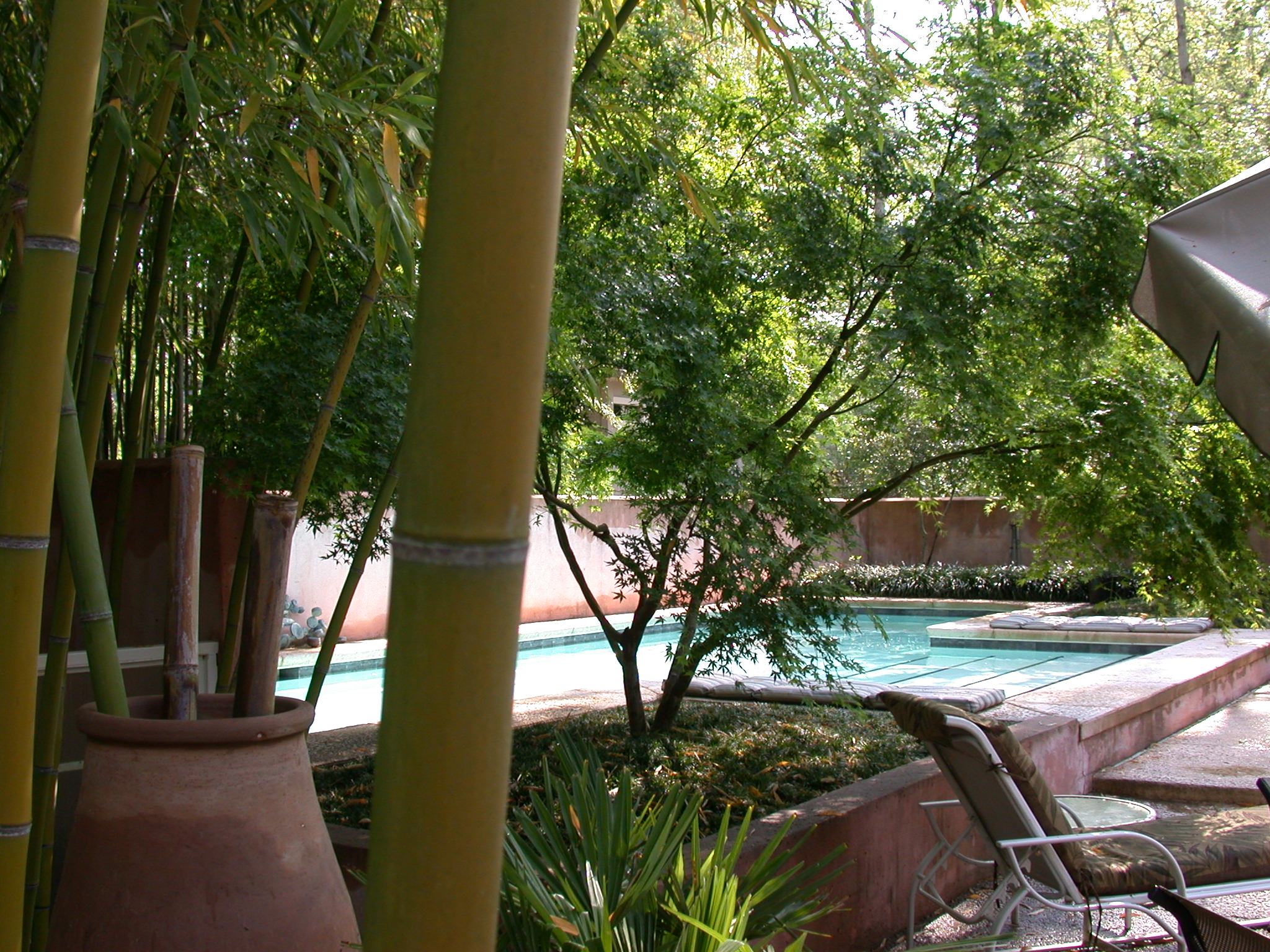 511pool.jpg