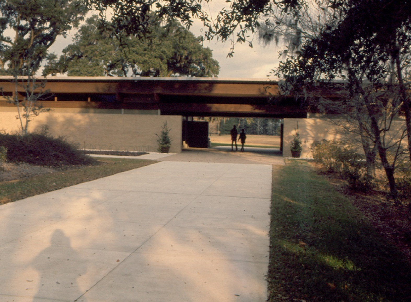 brookgreen.jpg
