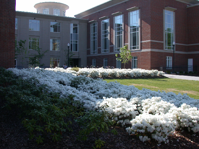 dscn2301.jpg